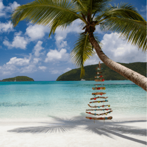 Last-minute festive season availability Last-minute festive season availability