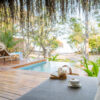 Five Mozambique Specials   Worth Knowing About