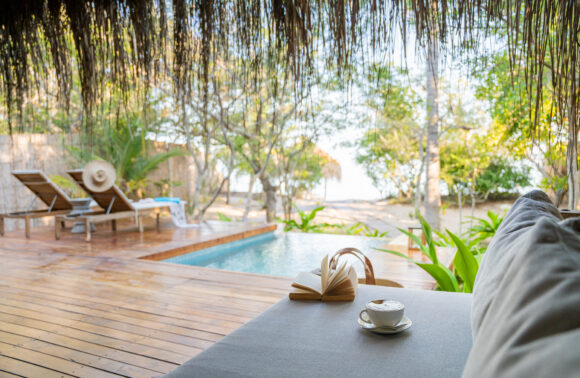 Five Mozambique Specials   Worth Knowing About